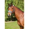 Saxon Element Fleece Headcollar - Navy/Blue 1 Saxon Element Fleece Headcollar - Navy/Blue -Best Equestrian Supplies 347331 800 800