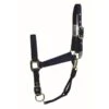 Western Rawhide Signature Classic Halter W/Snap - Navy -Best Equestrian Supplies 360312 800 800