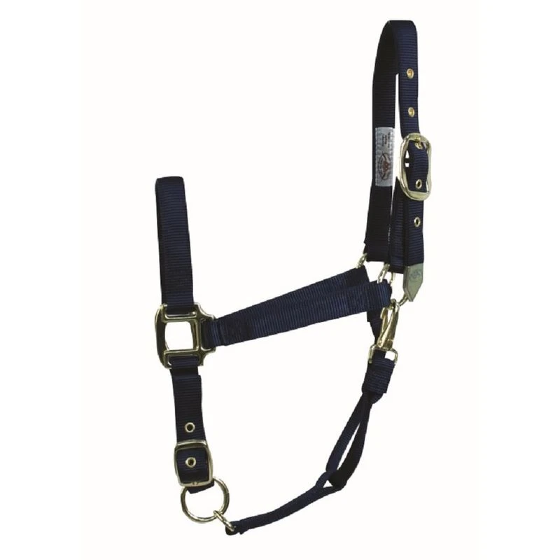 Western Rawhide Signature Classic Halter W/Snap - Navy 3 Western Rawhide Signature Classic Halter W/Snap - Navy