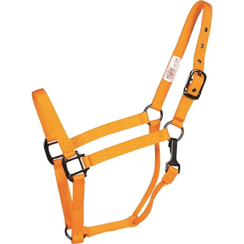Western Rawhide SignatureFashion Halter W/Black Nickel Finish Hardware - Marigold 3 Western Rawhide SignatureFashion Halter W/Black Nickel Finish Hardware - Marigold