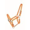 Western Rawhide Country Legend Soft-Touch Halter - Orange