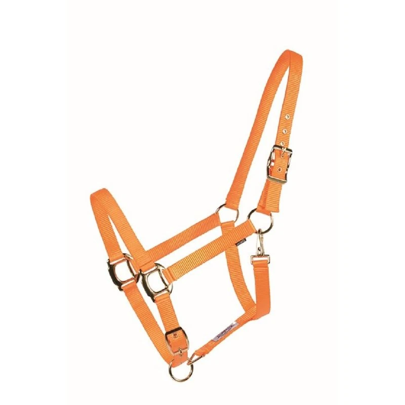 Western Rawhide Country Legend Soft-Touch Halter - Orange 3 Western Rawhide Country Legend Soft-Touch Halter - Orange