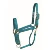 Western Rawhide Signature Classic Halter W/Snap - Emerald Green
