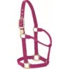 Western Rawhide Signature Classic Halter - Fuchsia -Best Equestrian Supplies 360679 800 800