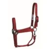 Western Rawhide SignatureFashion Halter W/Black Nickel Finish Hardware - Red -Best Equestrian Supplies 360826 800 800