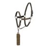 Horze Chicago Halter And Lead Rope - Brown Canteen Medal Bronze -Best Equestrian Supplies 386680 800 800