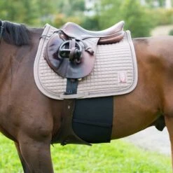 Horze Elastic Belly Guard - Black -Best Equestrian Supplies 387350 800 800