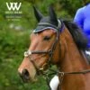 Woof Wear Ergonomic Ear Net - Black/Electric Blue 2 Woof Wear Ergonomic Ear Net - Black/Electric Blue -Best Equestrian Supplies 388869 800 800