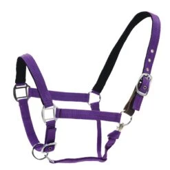 Centaur Cushion Web Breakaway Halter - Purple