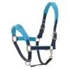 Centaur Fleece Cushion Breakaway Halter - Navy/Turquoise 1 Centaur Fleece Cushion Breakaway Halter - Navy/Turquoise -Best Equestrian Supplies 393568 800 800