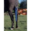 Jammies Tail Bag - Flower Power -Best Equestrian Supplies 399944 800 800