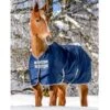 Bucas Freedom Extra Turnout - Navy -Best Equestrian Supplies 399945 800 800