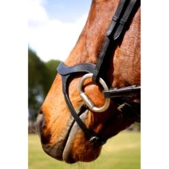 Nunn Finer Innovativo Shaped Bridle - Black -Best Equestrian Supplies 399998 800 800