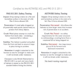 Champion Evolution Pro Helmet - Black Carbon -Best Equestrian Supplies 400919 800 800