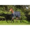 Amigo Foal Ripstock Turnout 200g - Navy/Electric Blue/Navy -Best Equestrian Supplies 404172 800 800