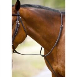Nunn Finer Standing Martingale - Havana/Zinc 7 Nunn Finer Standing Martingale - Havana/Zinc -Best Equestrian Supplies 406808 800 800