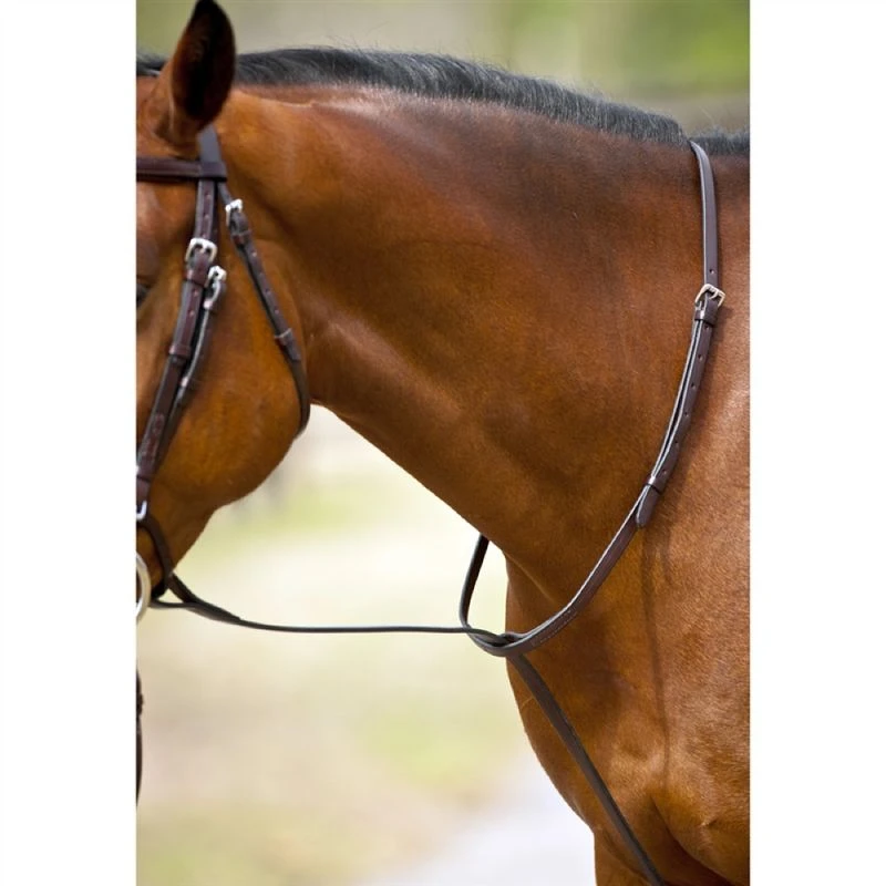 Nunn Finer Standing Martingale - Havana/Zinc 5 Nunn Finer Standing Martingale - Havana/Zinc - Image 3
