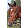 Nunn Finer Figure 8 Clincher Browband Padded Event Bridle - Havana/Brass -Best Equestrian Supplies 407501 800 800