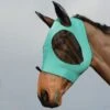 Weatherbeeta Stretch Bug Eye Saver W/Ears - Turquoise/Black -Best Equestrian Supplies 413214 800 800