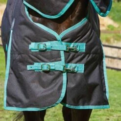 Weatherbeeta Green-Tec 900D Detach-a-Neck Lite Plus - Black/Bottle Green -Best Equestrian Supplies 414214 800 800