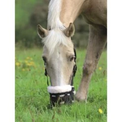 Shires Deluxe Comfort Grazing Muzzle - Black