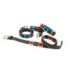 Shires Aubrion Women's Drover Polo Belt - Turquoise/Red/Orange/Blue -Best Equestrian Supplies 419776 800 800