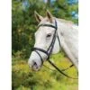 Shires Avignon Louisville Bridle - Havana -Best Equestrian Supplies 421694 800 800