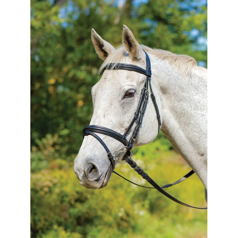 Shires Avignon Louisville Bridle - Havana 3 Shires Avignon Louisville Bridle - Havana