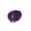 Kensington 30ft Flat Nylon Lunge Line - Purple
