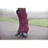 Rambo Travel Boots - Burgundy/Burgundy/Teal/Navy -Best Equestrian Supplies 441238 800 800