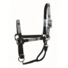 Western Rawhide Signature Pattern Halter W/Snap - Black/Arrow -Best Equestrian Supplies 443889 800 800