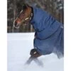 Rambo Optimo Hood 150g - Navy/Burgundy/Teal/Navy 2 Rambo Optimo Hood 150g - Navy/Burgundy/Teal/Navy -Best Equestrian Supplies 445818 800 800