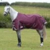 Weatherbeeta Comfitec Plus Dynamic II Standard Neck Medium - Maroon/Grey/White -Best Equestrian Supplies 448376 800 800