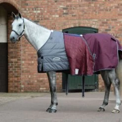Weatherbeeta Comfitec Plus Dynamic II Standard Neck Medium - Maroon/Grey/White -Best Equestrian Supplies 448378 800 800