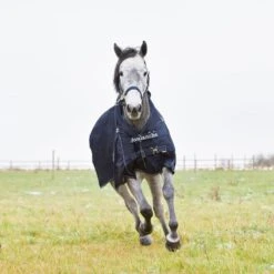 Horze Avalanche Turnout Blanket 300g - Peacoat Dark Blue -Best Equestrian Supplies 450342 800 800