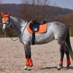 Horze Adepto Tendon Boots - Coral Gold -Best Equestrian Supplies 454703 800 800