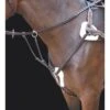 Shires Rossano 5-Point Breastplate - Havana -Best Equestrian Supplies 469782 800 800