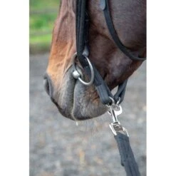 Shires Lunging Adapter - Black 5 Shires Lunging Adapter - Black -Best Equestrian Supplies 474987 800 800