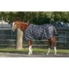 Kensington Signature Heavy Weight Turnout - Deluxe Black 1 Kensington Signature Heavy Weight Turnout - Deluxe Black -Best Equestrian Supplies 480285 800 800