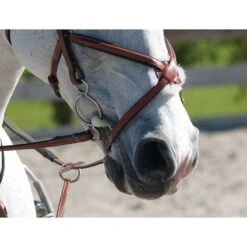 Happy Mouth Bits Double Jointed Roller 2-Ring Gag - Stainless Steel -Best Equestrian Supplies 483258 800 800