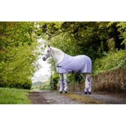 Amigo Ripstop Travel Boots - Lavender/Plum/Silver 7 Amigo Ripstop Travel Boots - Lavender/Plum/Silver -Best Equestrian Supplies 485027 800 800