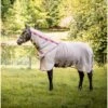 Rambo Protector W/Disc Front - Oatmeal/Cherry/Peach/Blue -Best Equestrian Supplies 488389 800 800