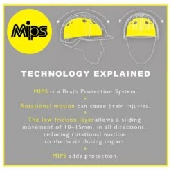 Champion Revolve Radiance MIPS Helmet - Black/Black Sparkle -Best Equestrian Supplies 492870 800 800