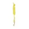 Perri's 5/8" Nylon Lead W/Snap - Yellow -Best Equestrian Supplies 504185 800 800