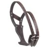 Camelot Wonder Cribbing Collar - Brown -Best Equestrian Supplies 504320 800 800