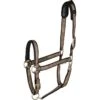 Catago Elegant Halter - Brownie -Best Equestrian Supplies 505777 800 800