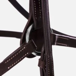 Equinavia Saga Fancy Stitched Figure 8 Bridle W/Reins - Chocolate Brown -Best Equestrian Supplies 540884 800 800