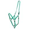Zilco Deluxe Endurance Bridle/Halter Cavesson Only - Green -Best Equestrian Supplies 545717 800 800