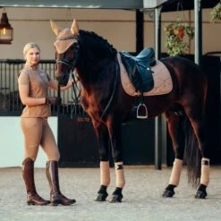 B Vertigo Women's Adara High Waist Full Seat Tights - Tiger's Eye Brown 11 B Vertigo Women's Adara High Waist Full Seat Tights - Tiger's Eye Brown -Best Equestrian Supplies 548011 800 800