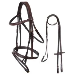 Best Equestrian Supplies -Best Equestrian Supplies 549426 800 800